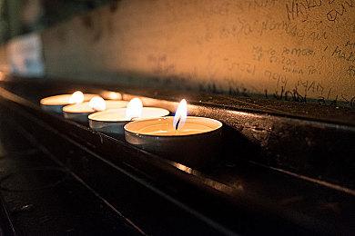 《僵尸世界大战：劫后余生》更新档加入大量新内容